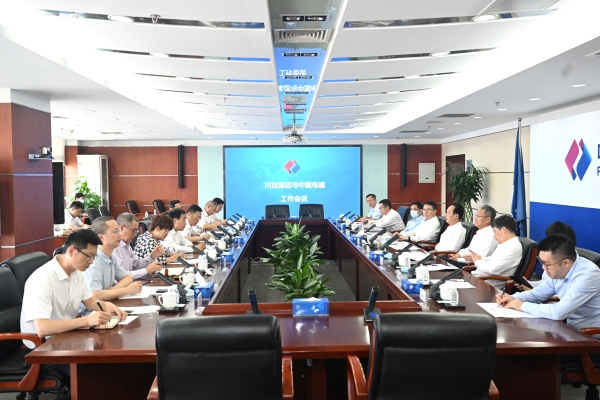 丁焰章王斌与川投集团刘体斌李文志举行会谈