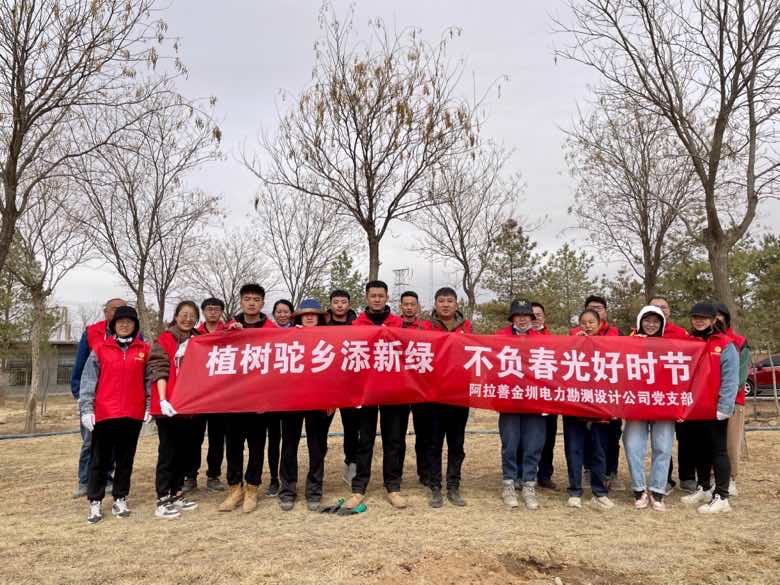 阿拉善金圳电力设计公司：植树驼乡添新绿 不负春光好时节