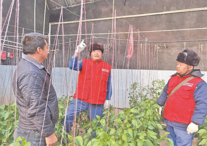 青海循化撒拉族自治县大棚变智能，果蔬产量增