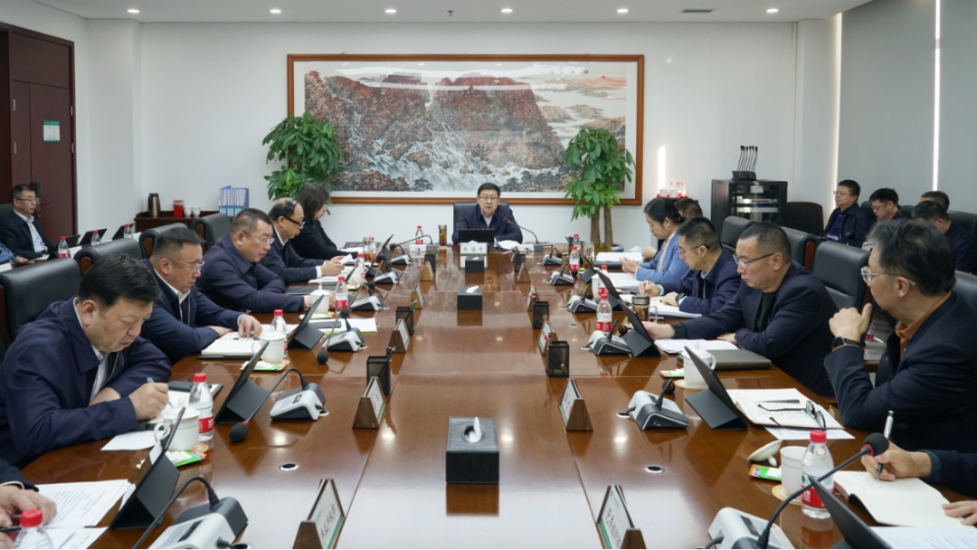 内蒙古电力集团召开二届党委第29次会议 传达学习习近平总书记近期重要讲话精神